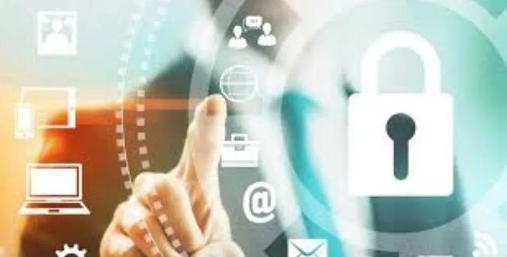 Thông tin DP568 thu thập và sử dụng